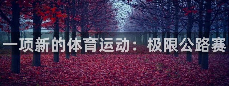 J9官方正版app新能源:一项新的体育运动:极限公路赛