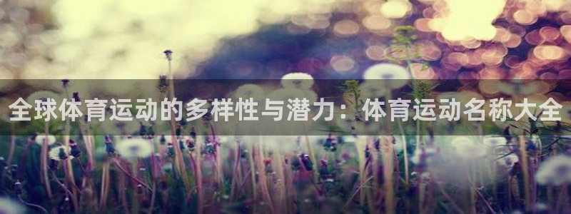 J9官网下载平台注册要钱吗:全球体育运动的多样性与潜力:体育