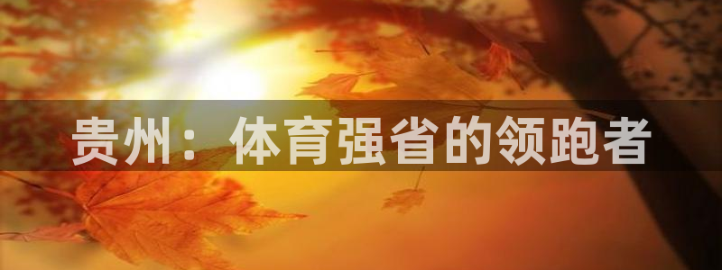 J9官网下载娱乐:贵州:体育强省的领跑者